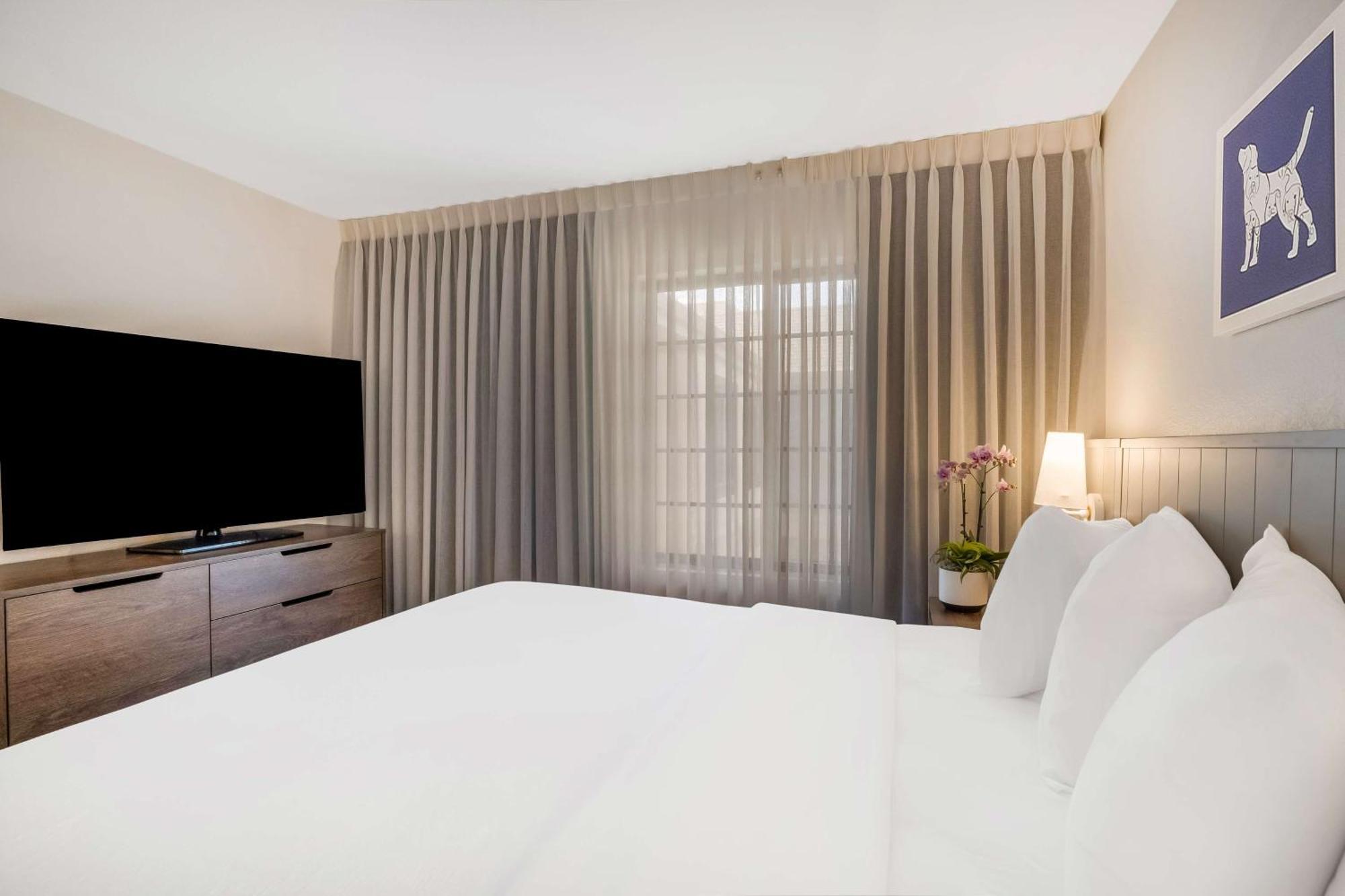 Sonesta Es Suites San Jose - Airport Extérieur photo